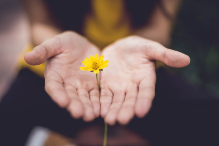 Hvorfor Self-Compassion